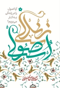 زندگی اصولی